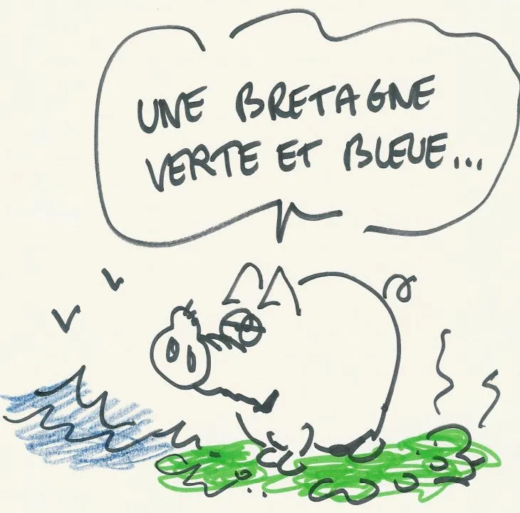 Un cochon dans une Bretagne verte et bleue
